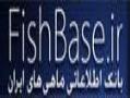 بانک اطلاعاتی ماهیان ایران  - تهران