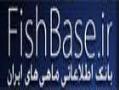 بانک اطلاعاتی ماهیان ایران  - تهران