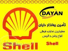 shell Shell shell Shell shell Shell