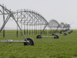 آبیاری بارانی سنترپیوت (center pivot