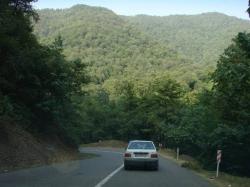 زمین ویلایی پیش فروش ویلابااقساط12ماهه