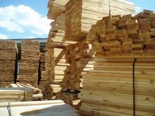 فروش انواع چوب روسی در اندازه های مختلف