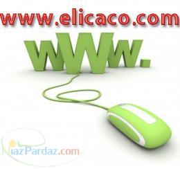 Real time web service-Domain registration-Web