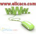 Real time web service-Domain registration-Web