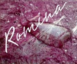 رومینا پوشش سلولزی قابل شستشو