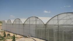 نسل جدید گلخانه های آشیانه سبز تهران