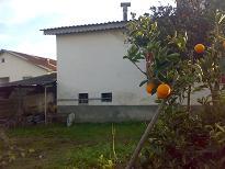 ویلا زمین بزرگ