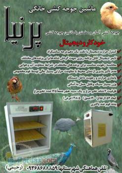 تولید ماشینهای جوجه کشی خانگی