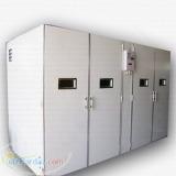 دستگاه جوجه کشی ساینس فول اتوماتیک