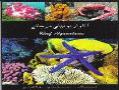 اطلس تمام رنگی آکواریومهای مرجانی
