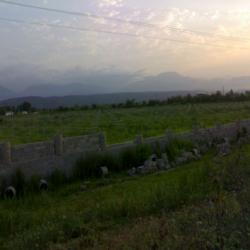 5000 متر باغ با سند 6 دانگ به قیمت روز