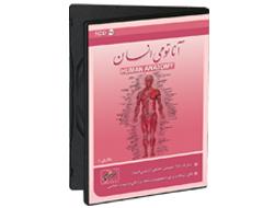 آناتومی انسان