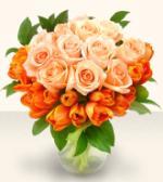 فعالیت تبلیغاتی