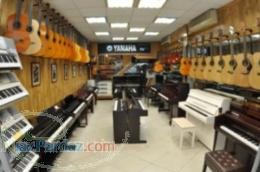 اولین فروشنده و بنیانگذار پیانو waldsteinدرایران