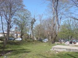 فروش زمین کلار آباد بین چالوس و تنکابن