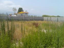 زمیـــــن پـــــــارســـــــه (1