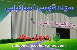 سوله اسپانیائی   قوسی