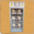 دستگاه جوجه کشی دابل ککس هلندی