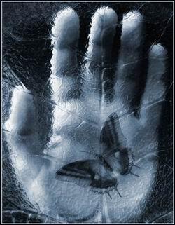 معماری   نماکاری