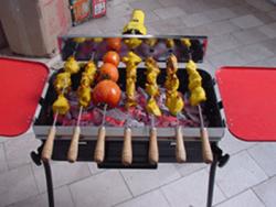 کباب پزگازی ذغالی مه پویا