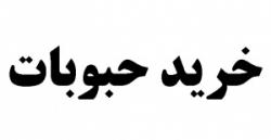 خرید حبوبات  لپه  عدس  نخود داخلی یا واردات