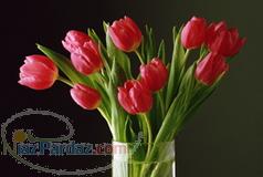 ملكي واقع در خ فردوسي اهوازدوطبقه بادودهنه مغازه