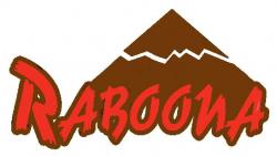 وارد کننده و سورس لوازم جانبی کامپیوتر