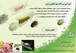 لوح آموزشی اطلس حشرات