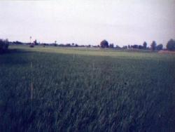 حدفاصل اشتهارد _ بوئین زهرا