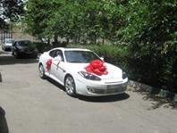 گل برای ماشین عروس