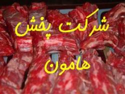 فروش گوشت و مرغ منجمد