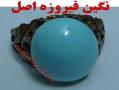 نگین فیروزه اصل در ابعاد مختلف