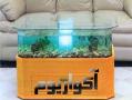 طراحی و ساخت آکواریوم در ابعاد مختلف