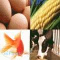 معرفی رایگان محصولات کشاورزی - دامپروری