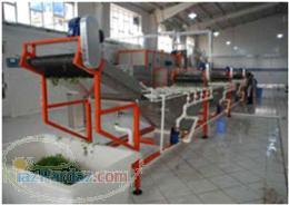 خط شستشو و ضد عفونی سبزیجات و گیاهان داروئی ( 5