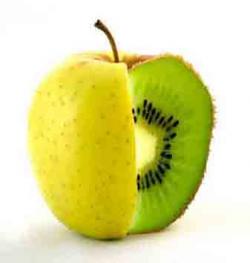 طراحی و چاپ شیوا