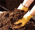 کود برای تقویت و اصلاح خاک