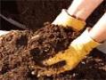کود برای تقویت و اصلاح خاک