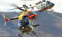 هلیکوپتر و هواپیما برای عروس و داماد