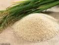 عرضه انواع برنج