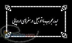 لیدر و مترجم مسلط به زبان با اتومبیل در اروپا