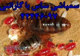 سمپاشی ساس تختخوابی مشاوره رایگان 22147310