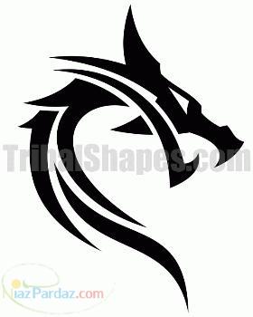 تاتو موقت بدن