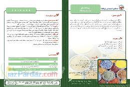 رنگ پايه سيماني نما - ژيكافام