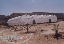 خريد گلخانه دست دوم