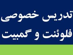 تدریس خصوصی فلوئنت ( fluent ) و گمبیت