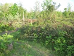 زمین برای پرورش قزل الا و گردشگری