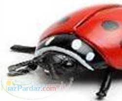 طراحی سایت شما توسط خود شما با نرم افزار آنلاین