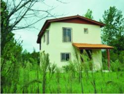 ویلا در دل طبیعت بکر و جنگلی چمستان