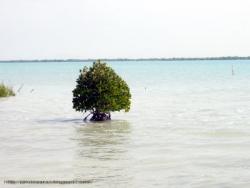 تور قشم زمینی هوایی